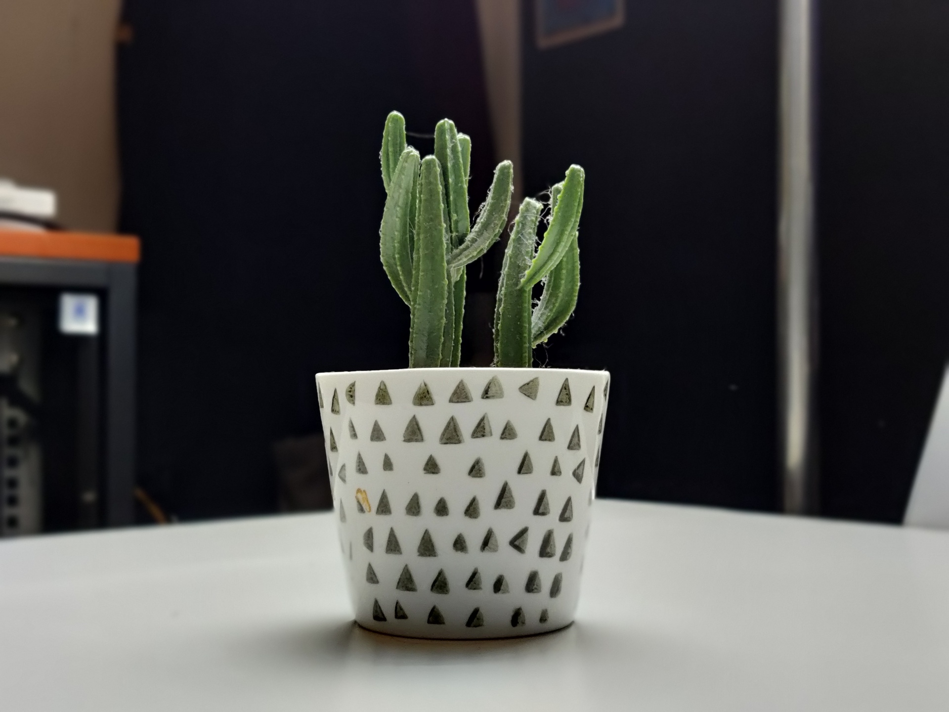 OnePlus 8T portrait camera sample of a top lit fake plant on a table