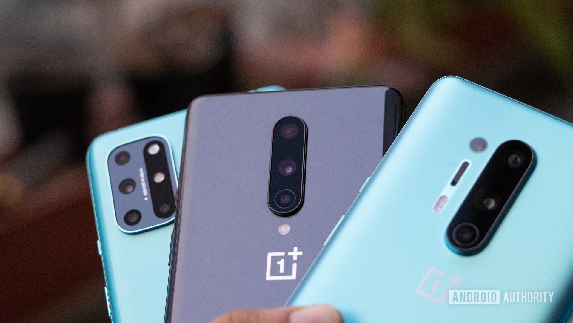 OnePlus 8T vs OnePlus 8 vs OnePlus 8 Pro back of the phone