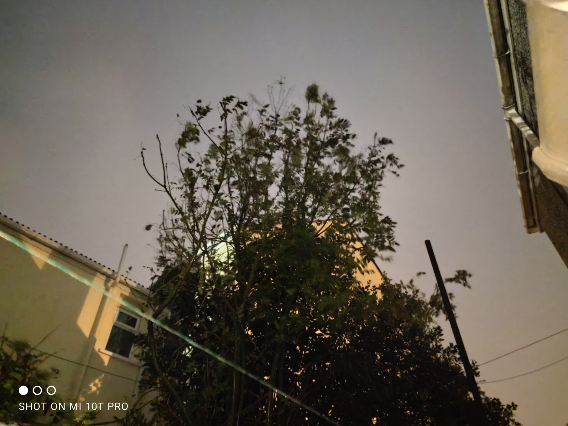 Xiaomi Mi 10T Pro night time camera sample of a tree