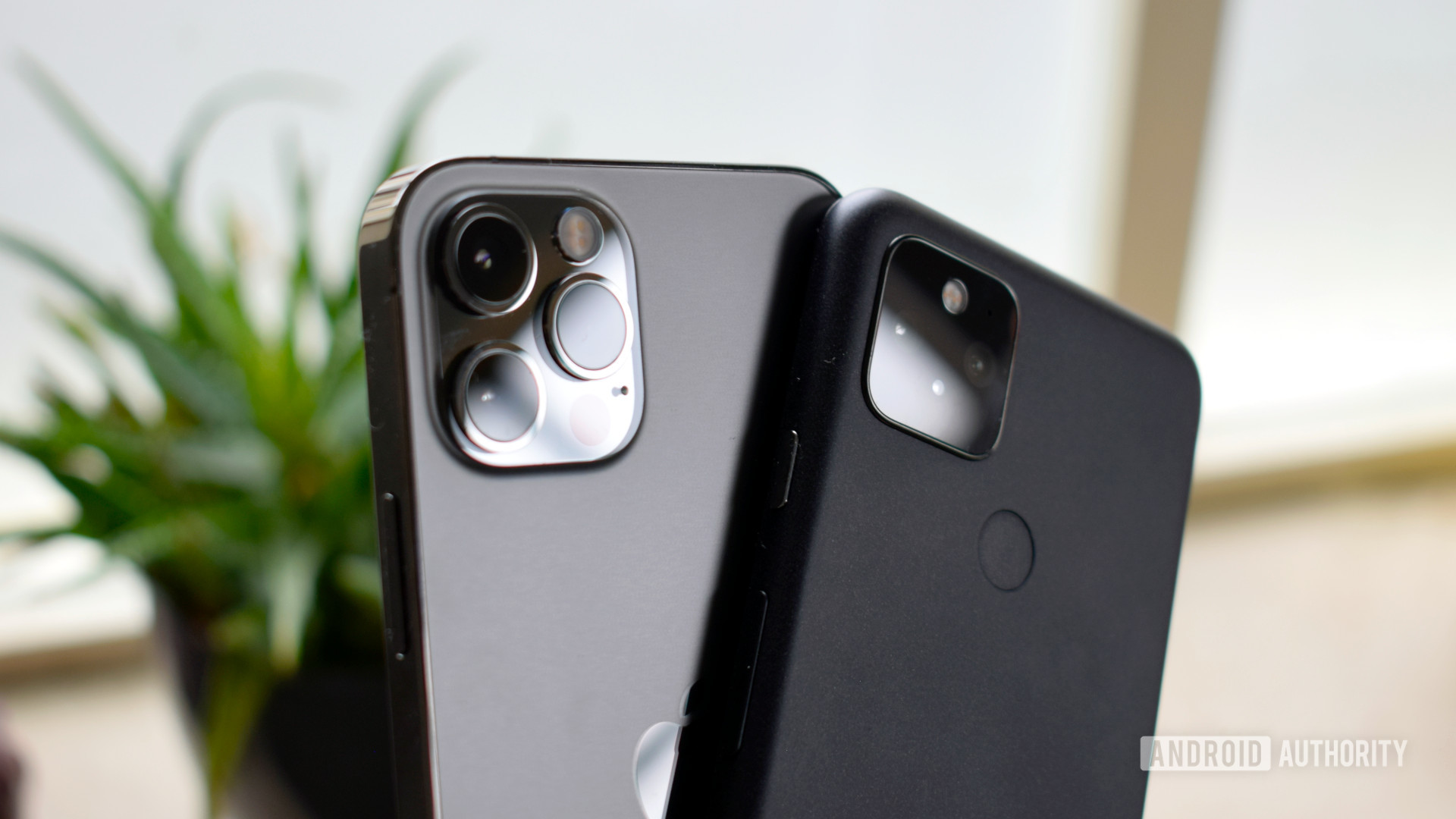 Google Pixel 5 vs Apple iPhone 12 Pro cameras side by side.
