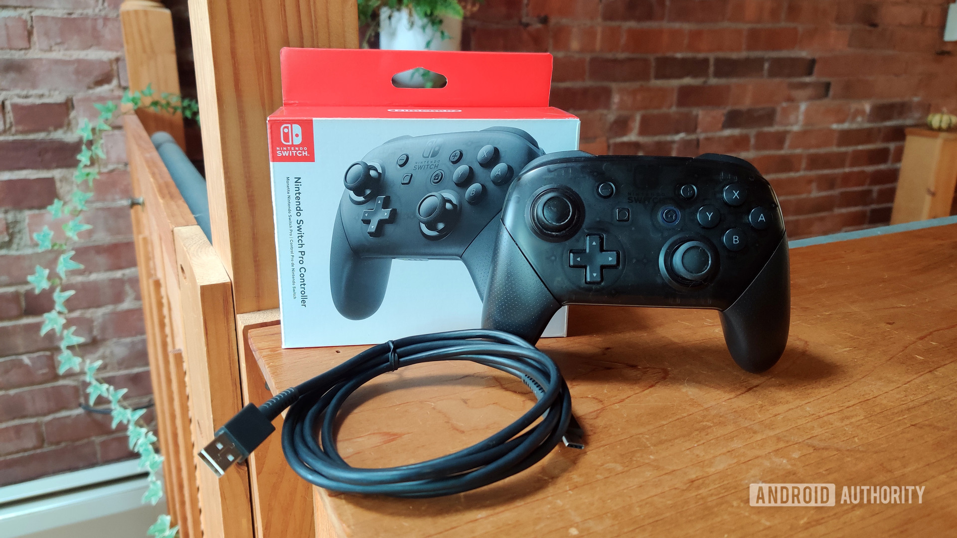 Nintendo Switch Pro Controller review box contents