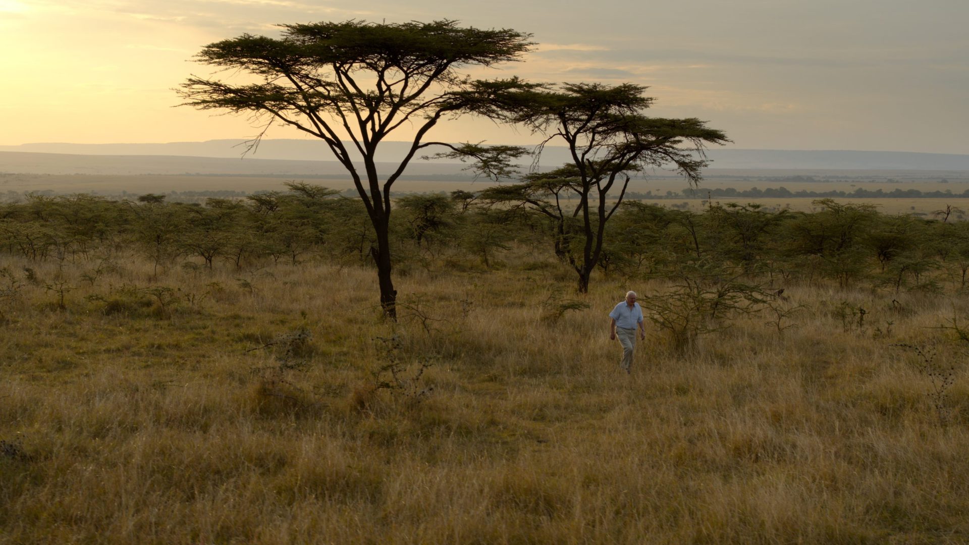 David Attenborough A Life on Our Planet - best tv show 2020