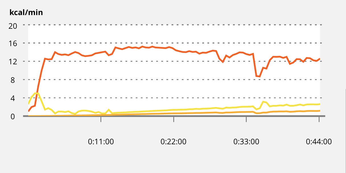 Heart Rate Polar Flow