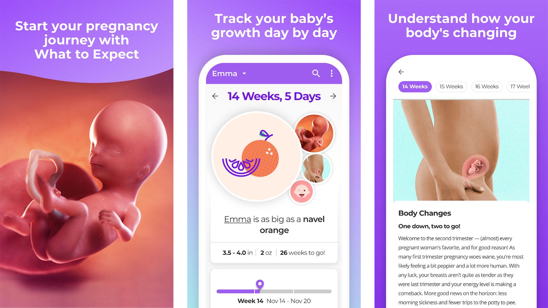 Pregnancy and Baby Tracker screenshot 2021