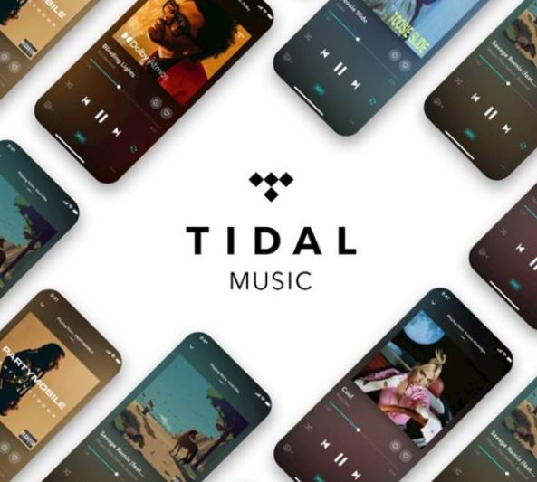 Tidal Premium HiFi Widget Image
