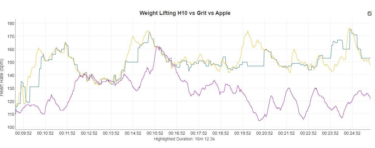 Weight Lifting Polar Grit h10 Apple Watch