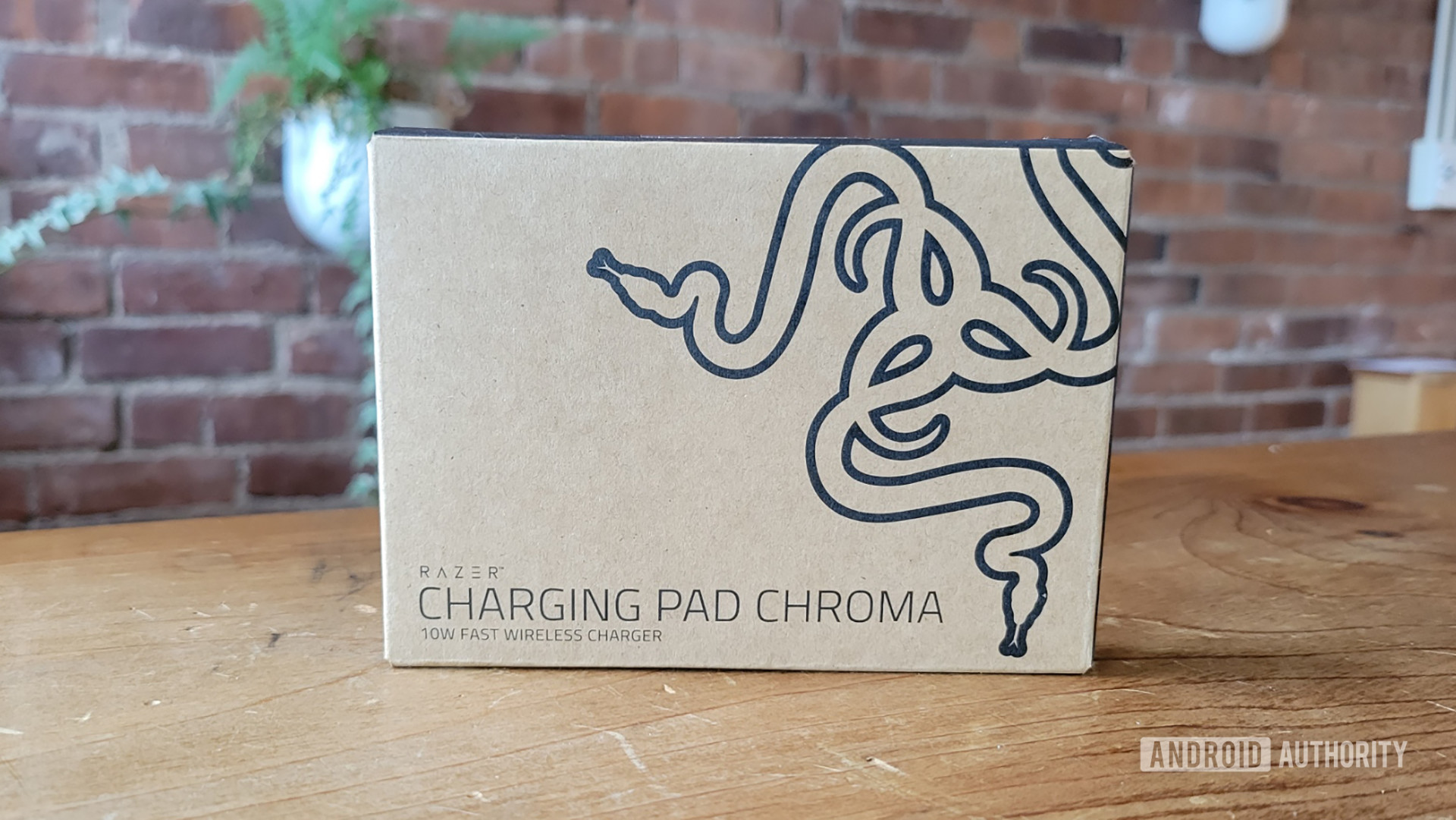 Razer Charging Pad Chroma Review Retail Box