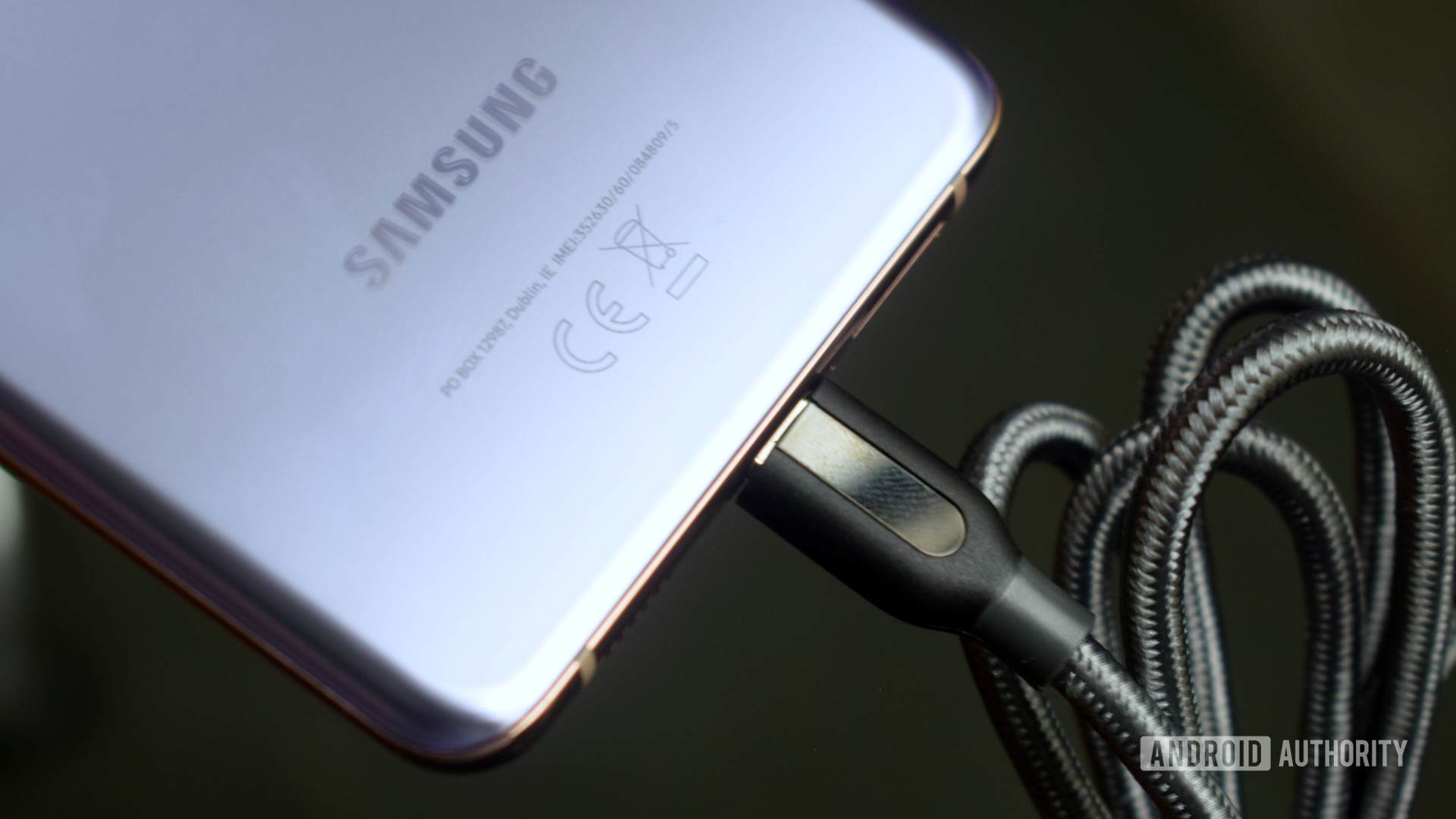 Samsung Galaxy S21 Plus Charging USB C