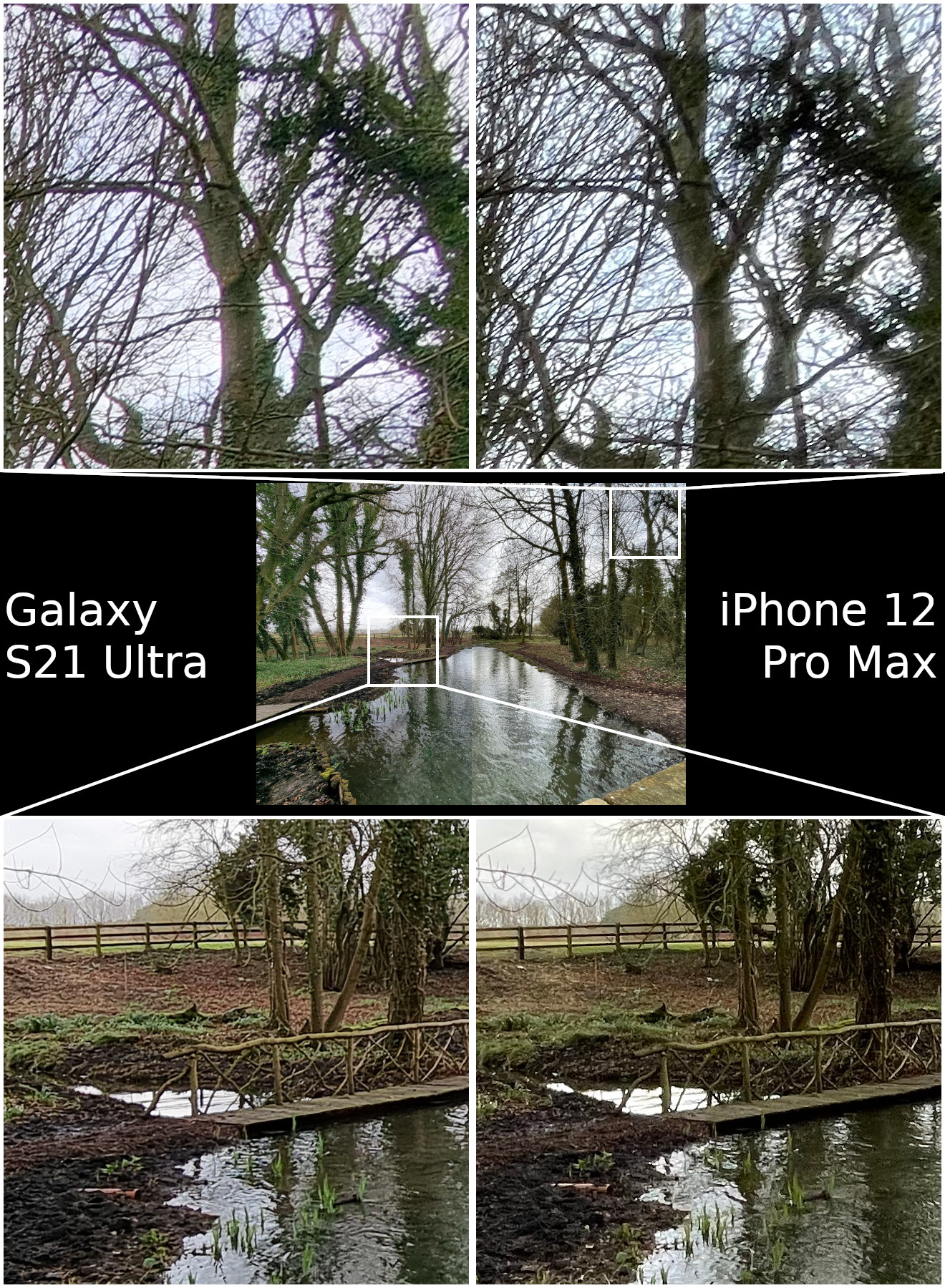 Wide Angle - Samsung Galaxy S21 Ultra vs iPhone 12 Pro Max