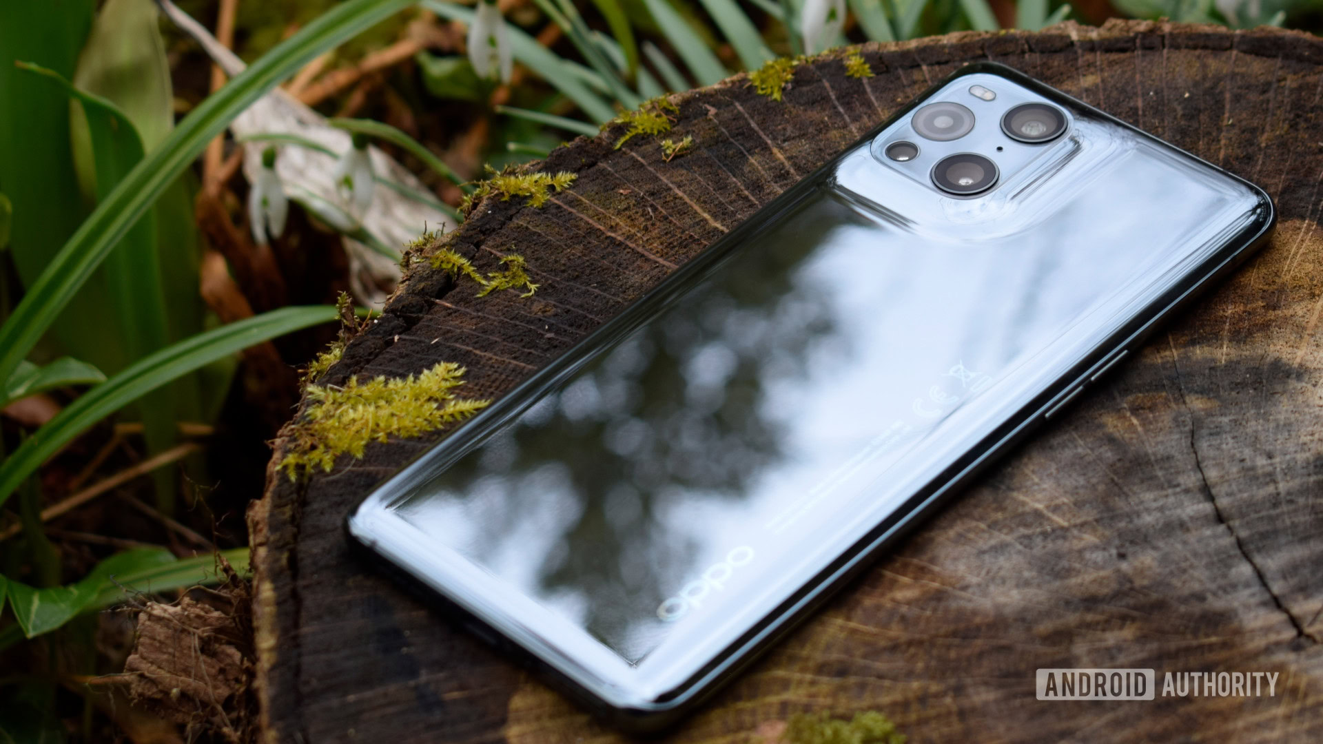 OPPO Find X3 Pro review outdoor back