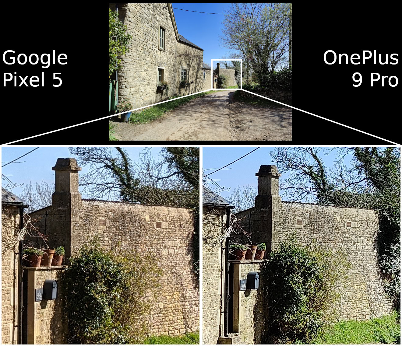 Google Pixel 5 vs OnePlus 9 Pro detail 2