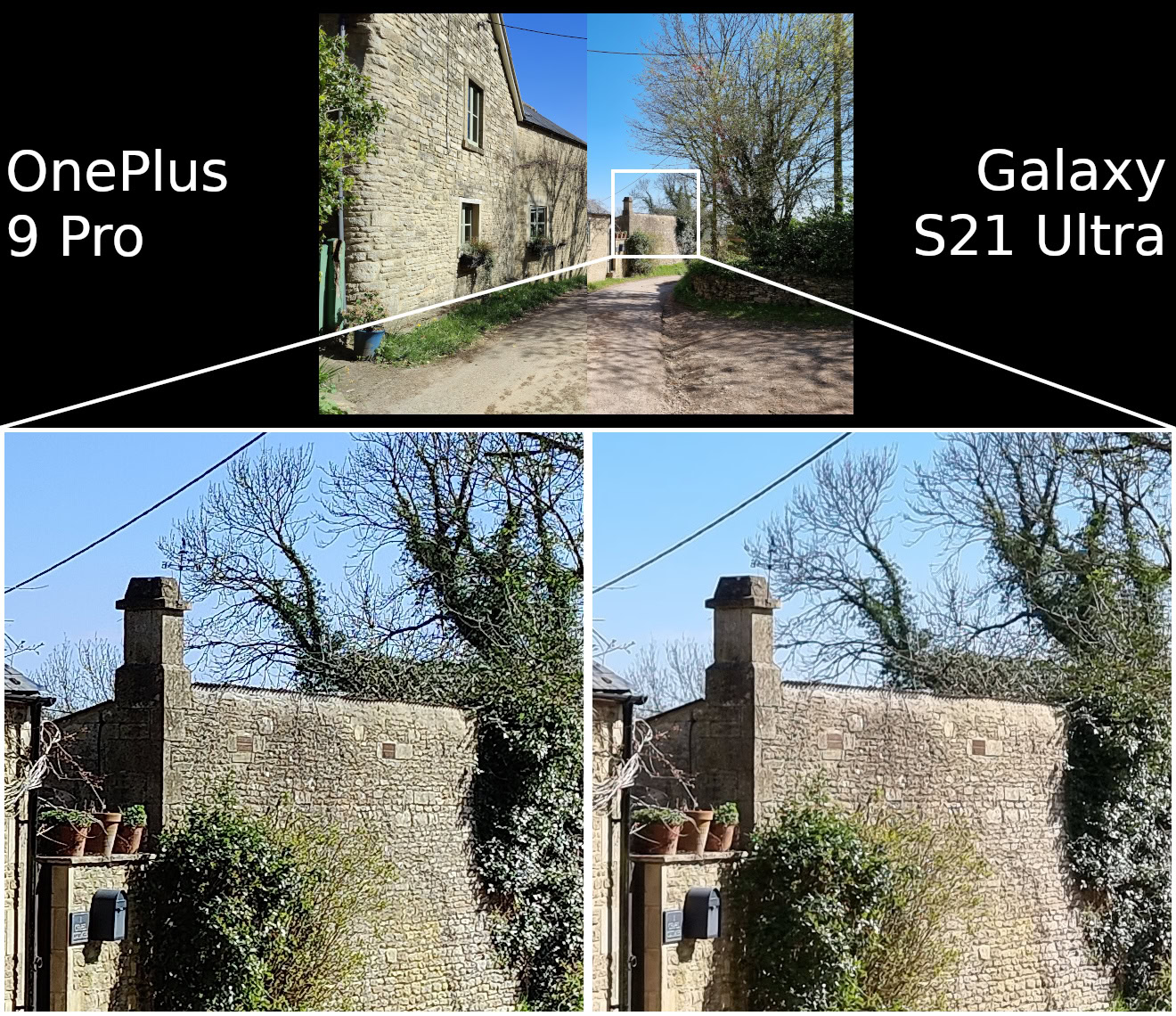 OnePlus 9 Pro vs Samsung Galaxy S21 Ultra camera detail