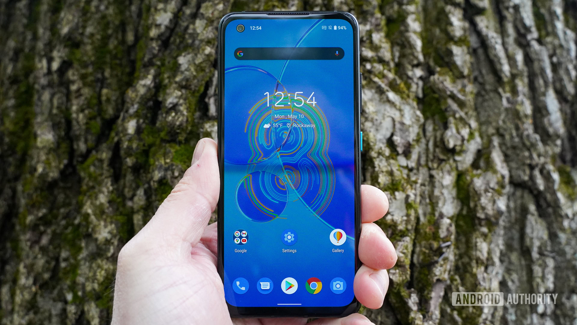 ASUS Zenfone 8 against tree