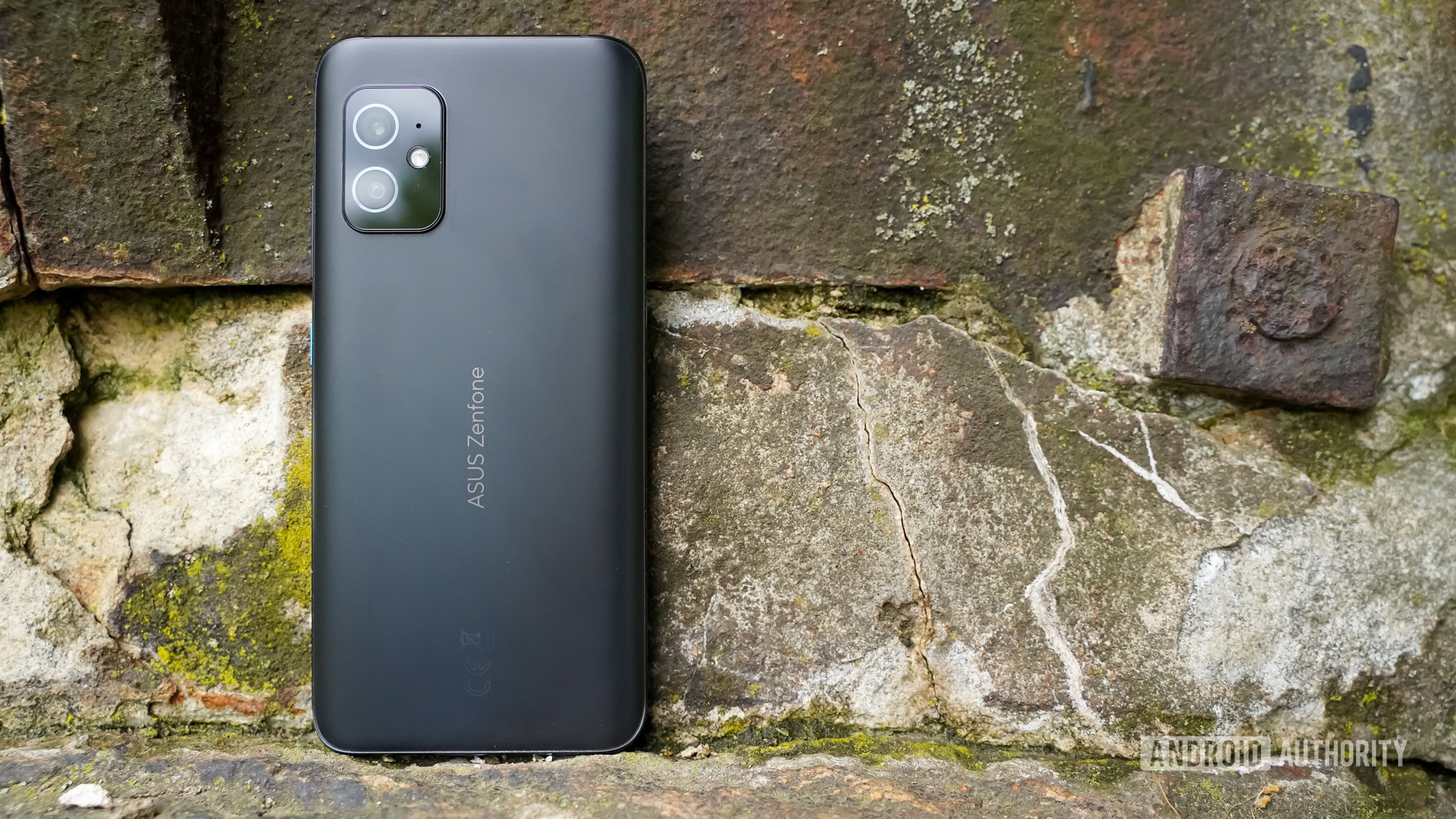 Asus Zenfone 8 series buyer's guide: Everything you need to know