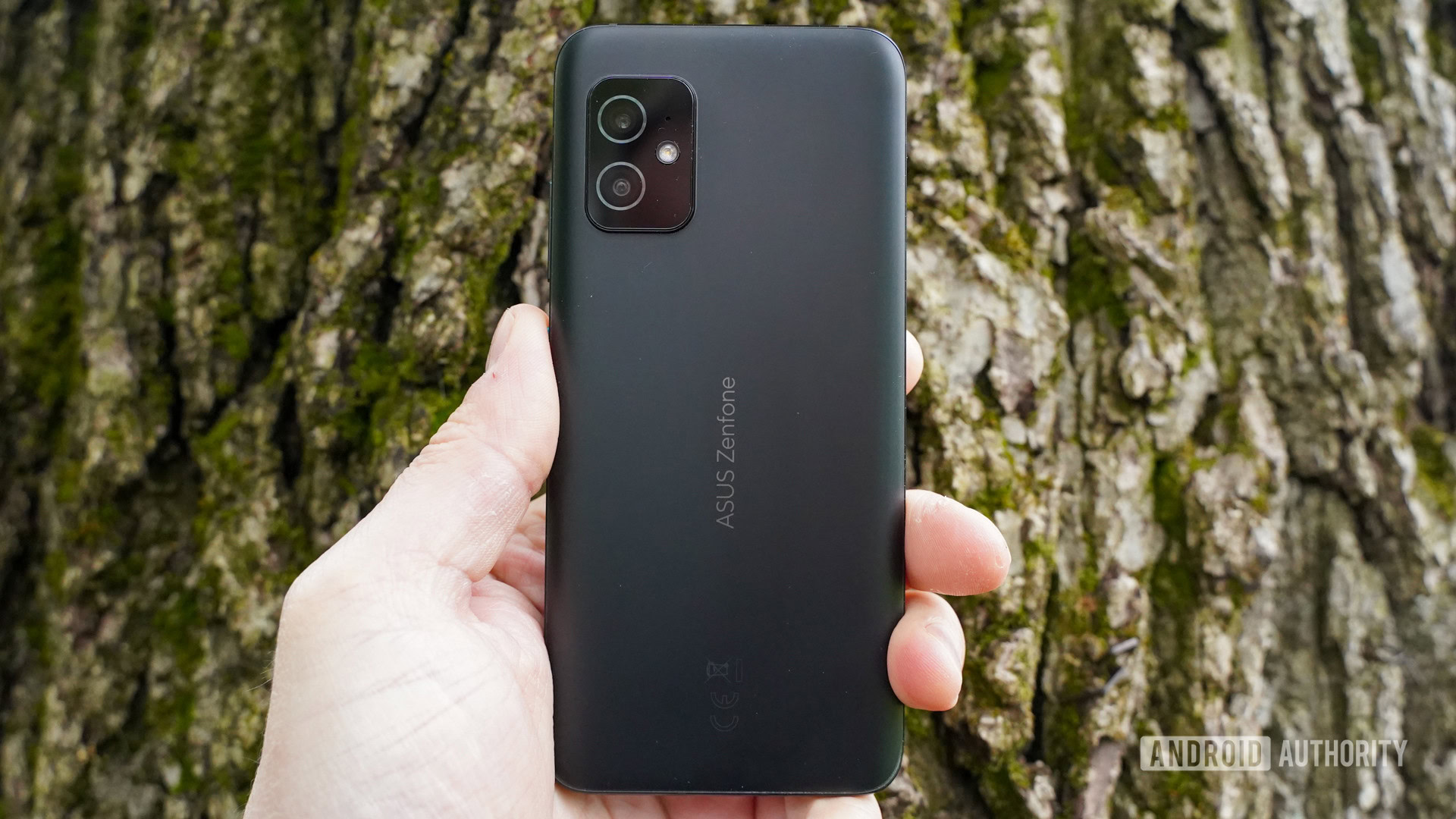 ASUS Zenfone 8 rear against tree