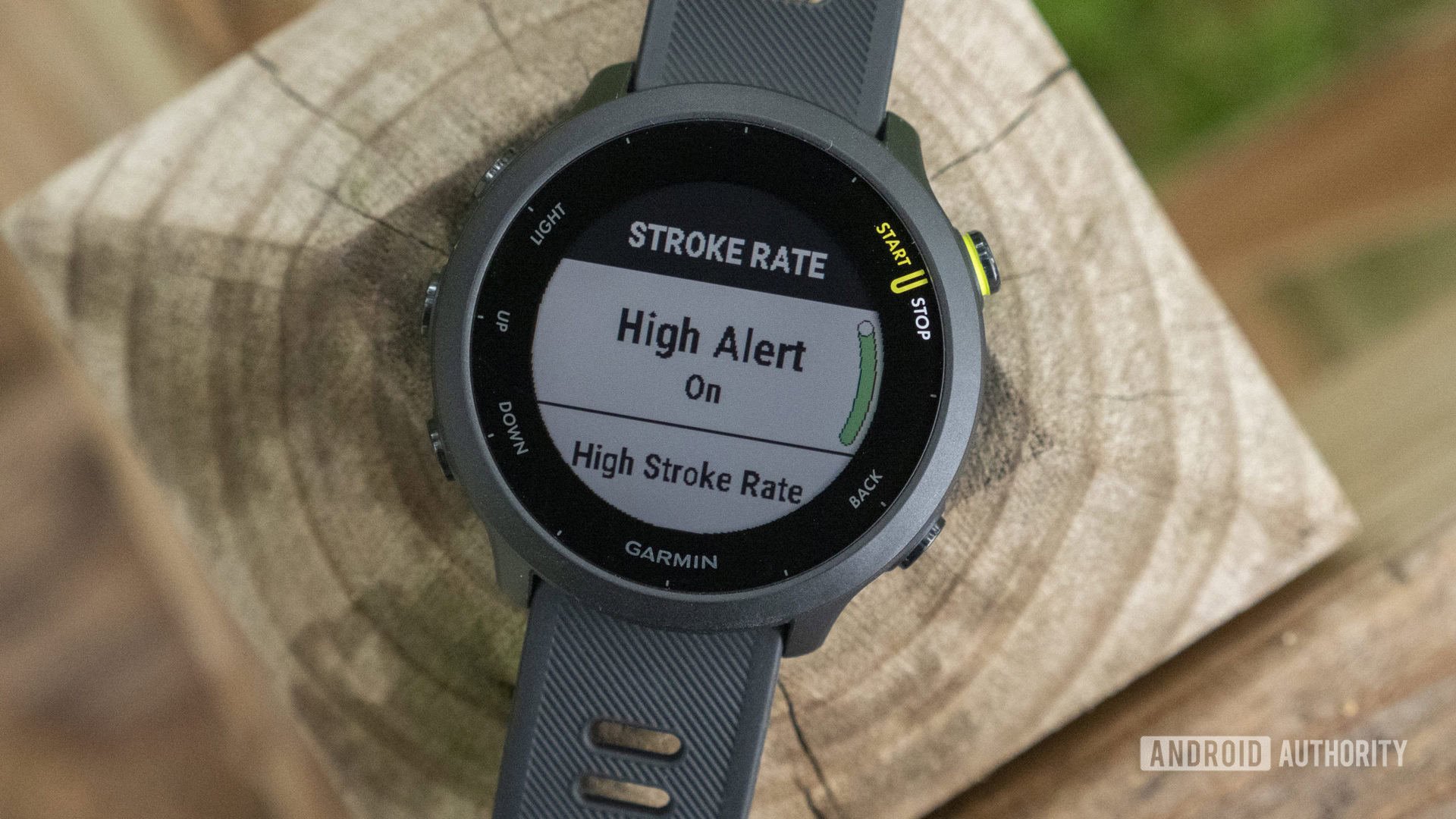 Garmin Forerunner 55 review cadence alert running