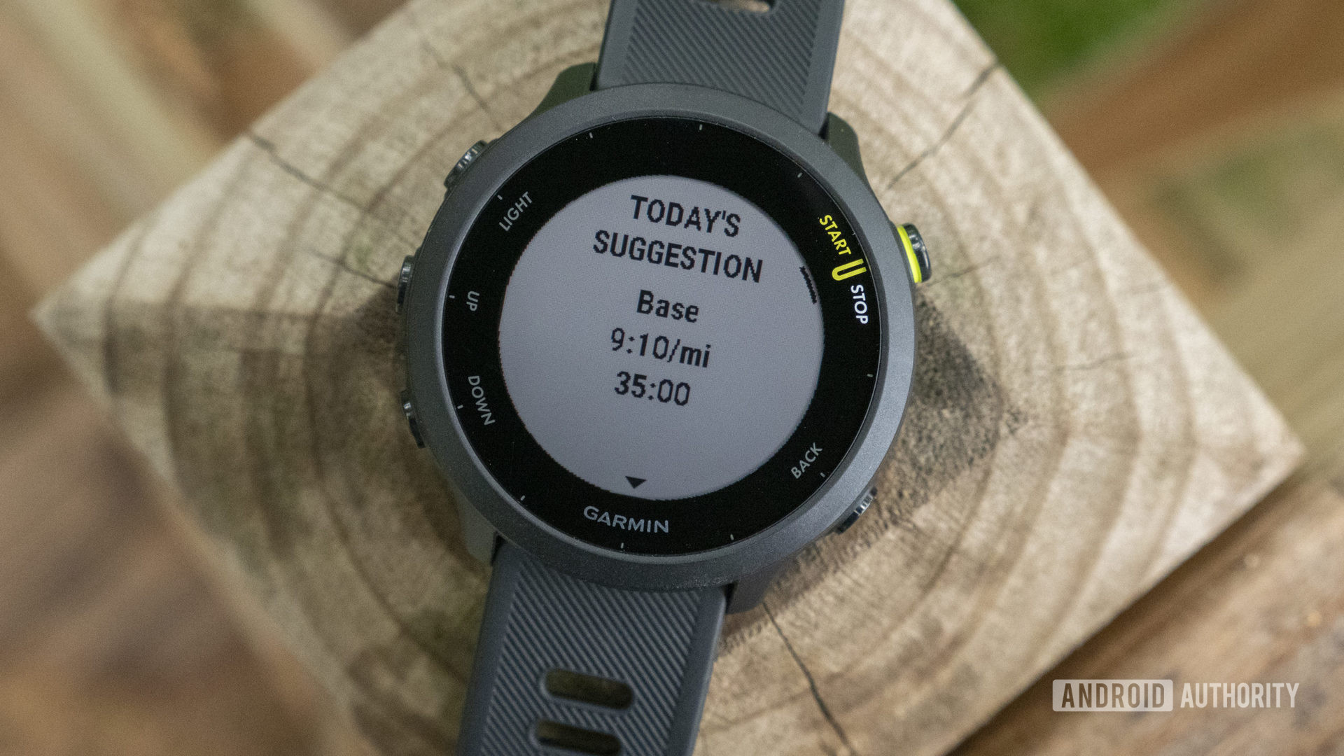 A Garmin Forerunner 55 rests on a. wooden post displaying a user's daily suggested workout.
