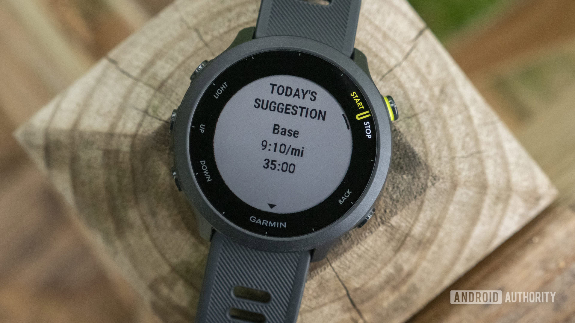 Garmin Forerunner 55