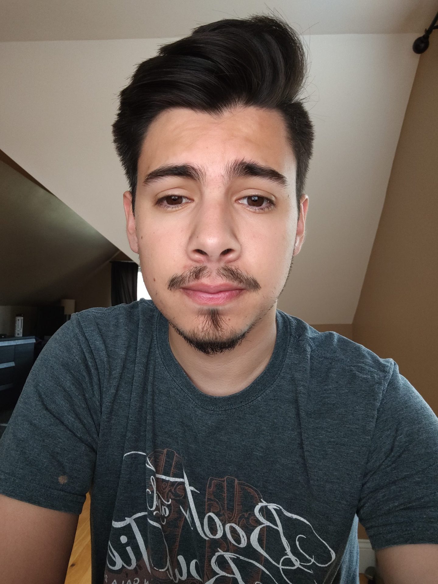 TCL 20 Pro 5G front-facing camera selfie of a dark-haired man in a gray t-shirt indoors.