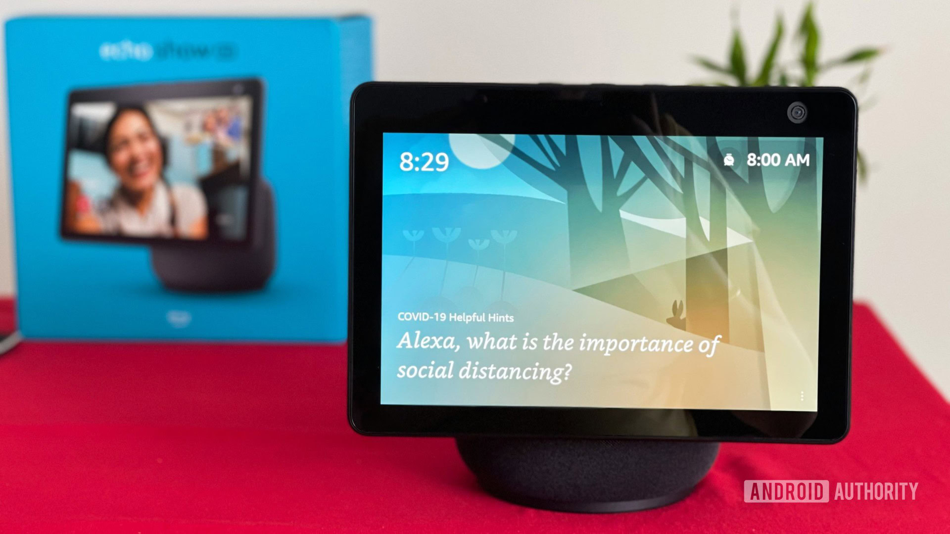 Estremamente Importante Sospettare Cranio Silk Echo Show Catastrofe Estremamente Importante Sospettare Cranio Silk Echo Show Catastrofe