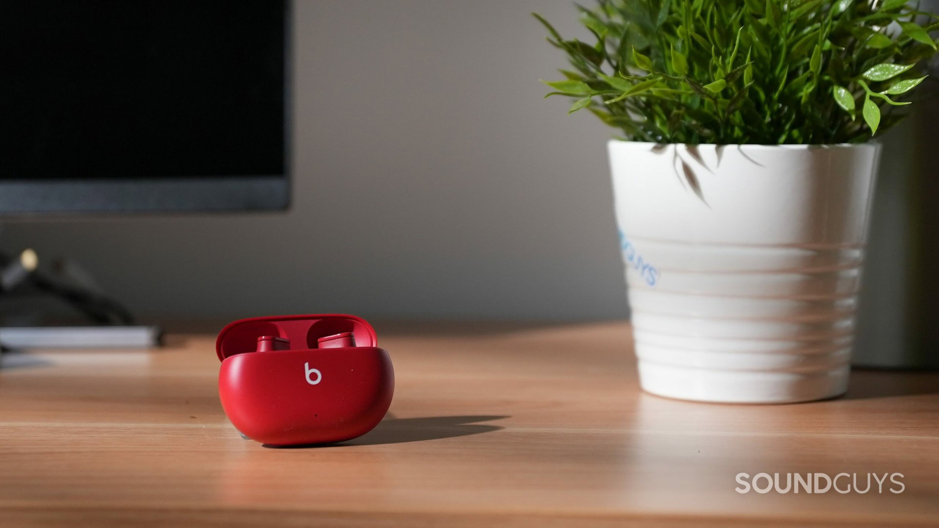 Beats Studio Buds noise cancelling true wireless earphones on a wooden desk next to a plant.