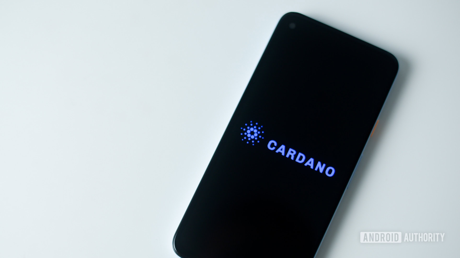 Cardano coin stock photo 1