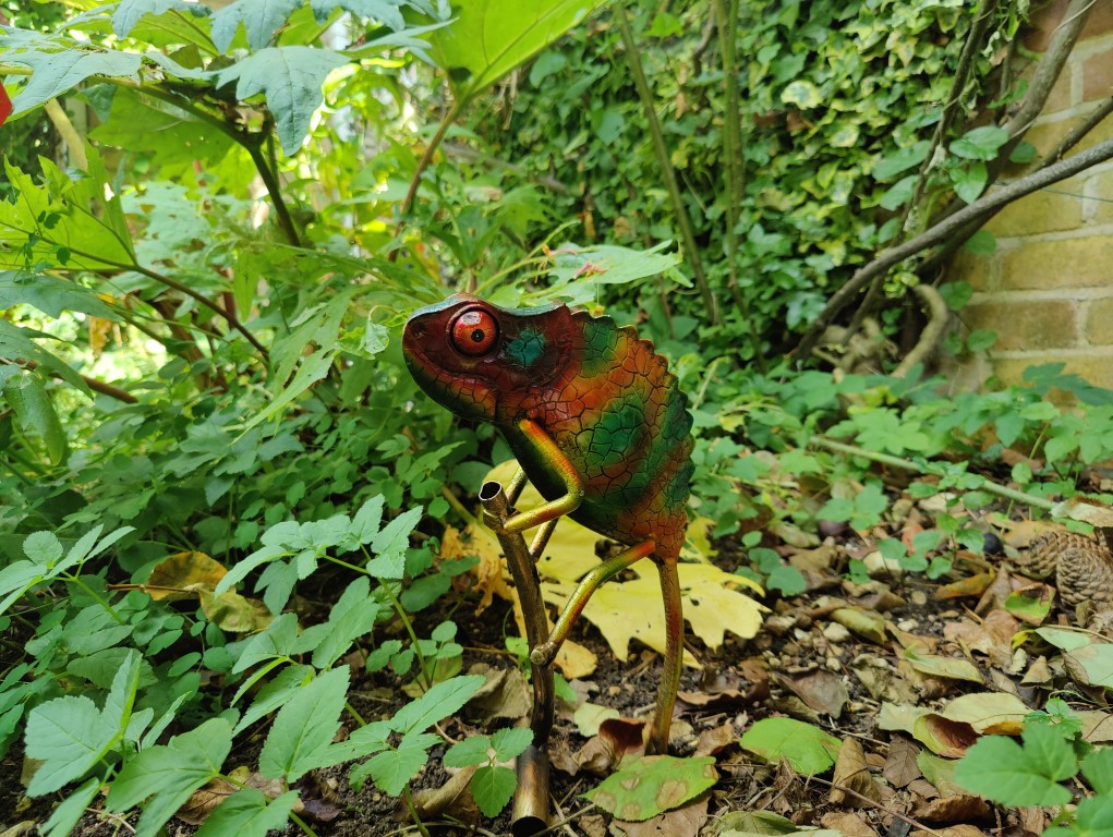 Picture of colorful lizard figure OnePlus 9 Pro