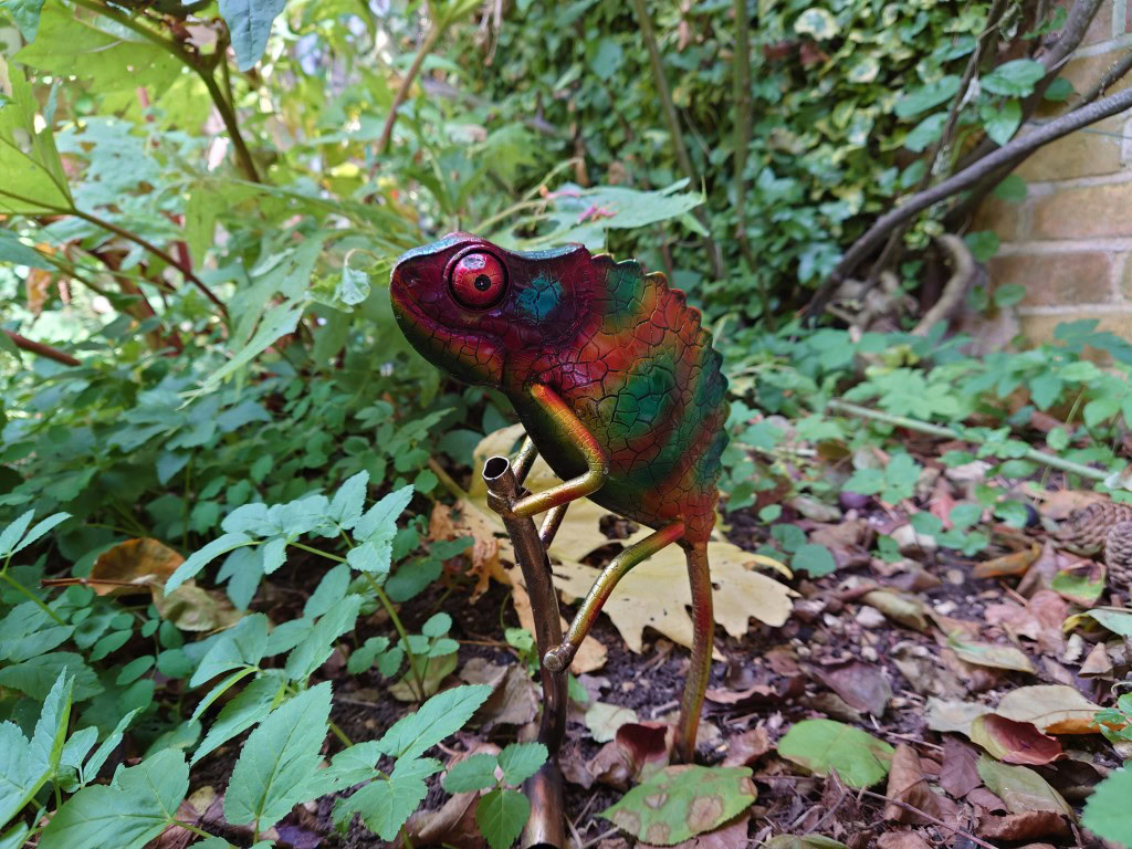 Picture of colorful lizard figure Sony Xperia 1 III
