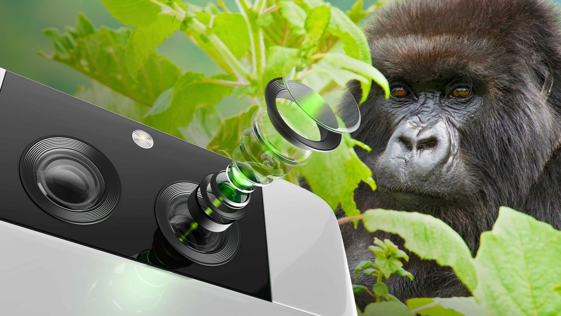 Corning Gorilla Glass DX for cameras