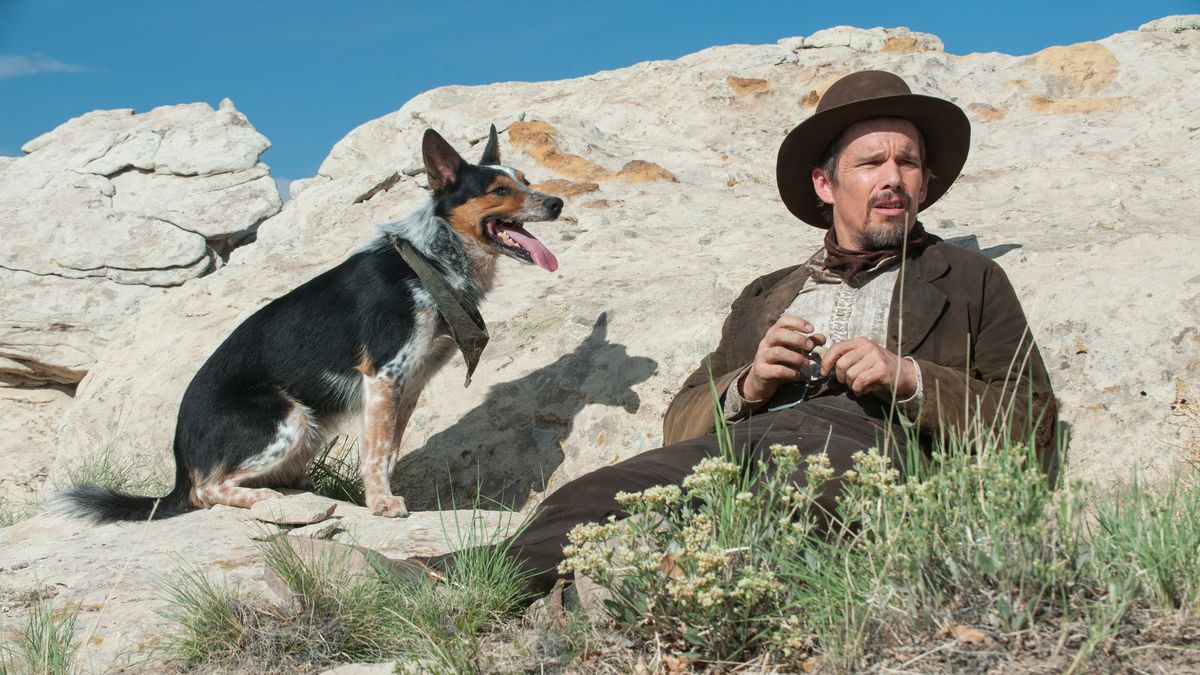Ethan Hawke sits on a hill with his dog in In a Valley of Violence - best westerns on netflix
