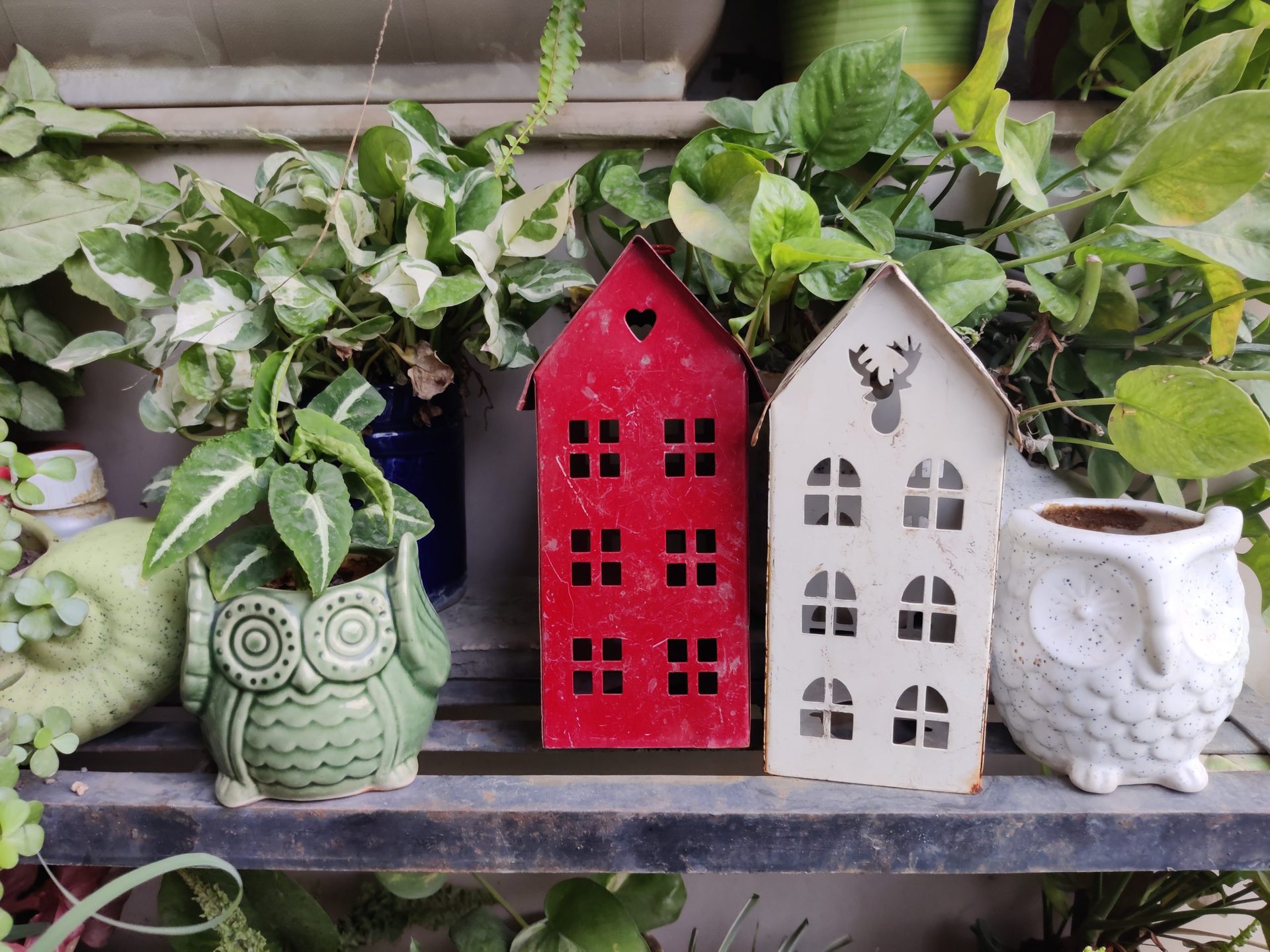 The OnePlus Nord outdoor primary shot showing red and white house planters, a white owl planter, and a green owl planter.