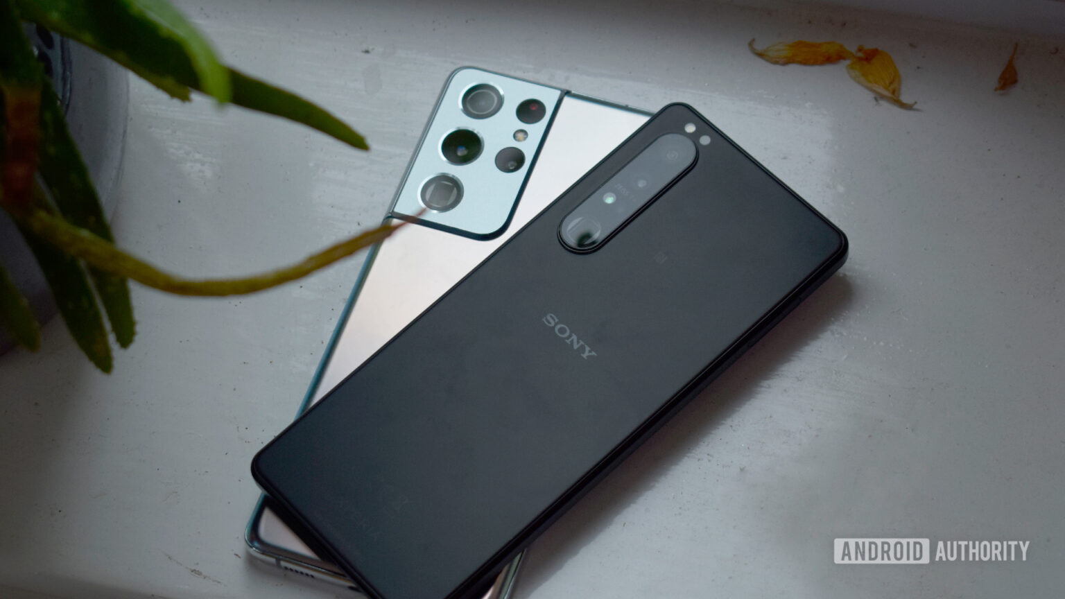We asked, you told us This phone takes the best shots so far in 2021