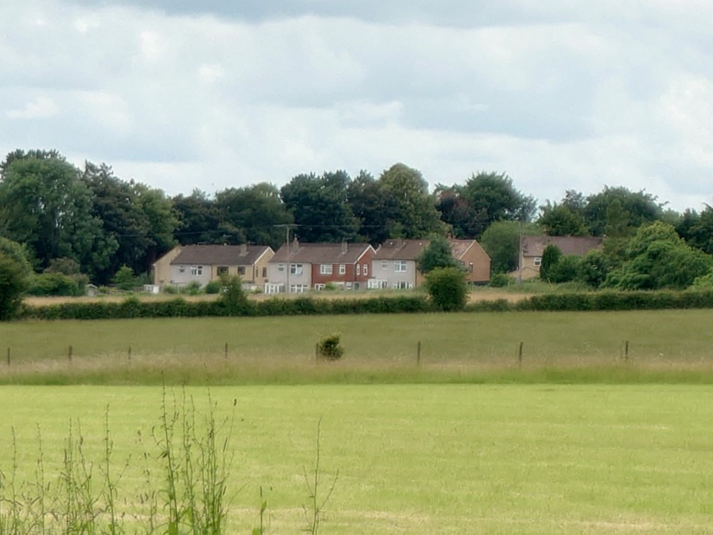 Sony Xperia 1 III camera 300mm shot of a grassy field with houses in the distance and trees behind them
