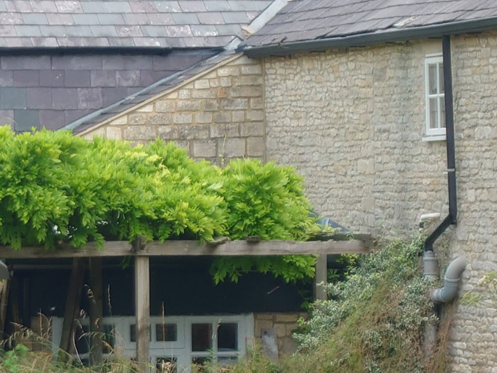 Sony Xperia 1 III camera zoom 3 300mm shot of a house exterior