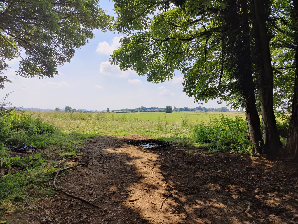 HDR camera sample of a field and trees OnePlus 9 Pro