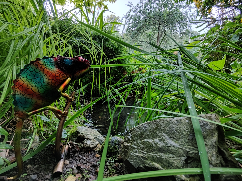 Picture of lizard figurine and grass in the background shot on OnePlus 9 Pro