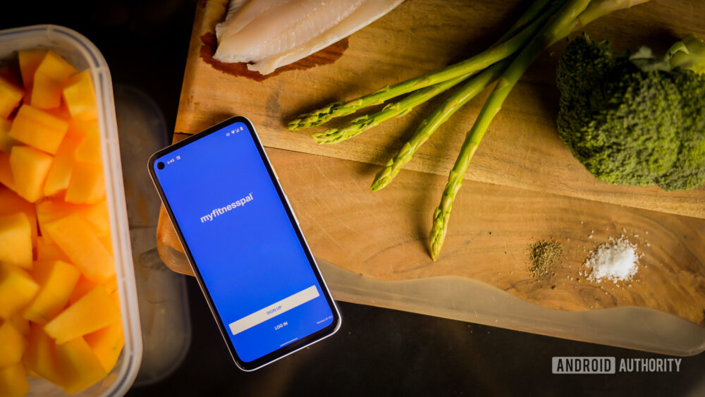 MyFitnessPal not working? Here's what you can do Android Authority