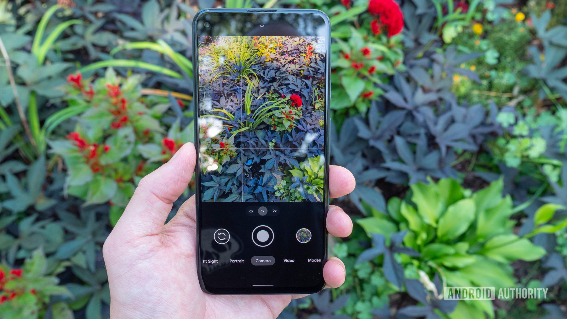 the google pixel 5a camera app showing flowers