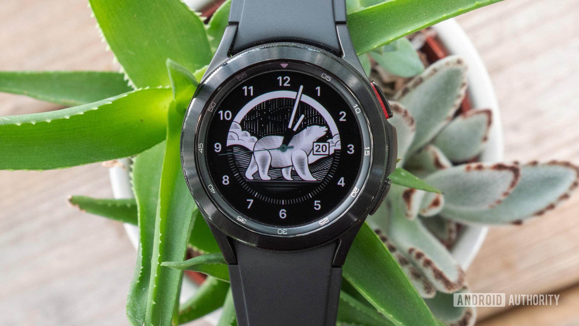 Samsung Galaxy Watch 4 Classic in one plant.