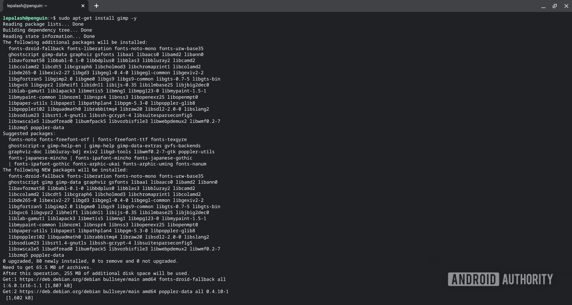 Linux app download progress Terminal Chromebook