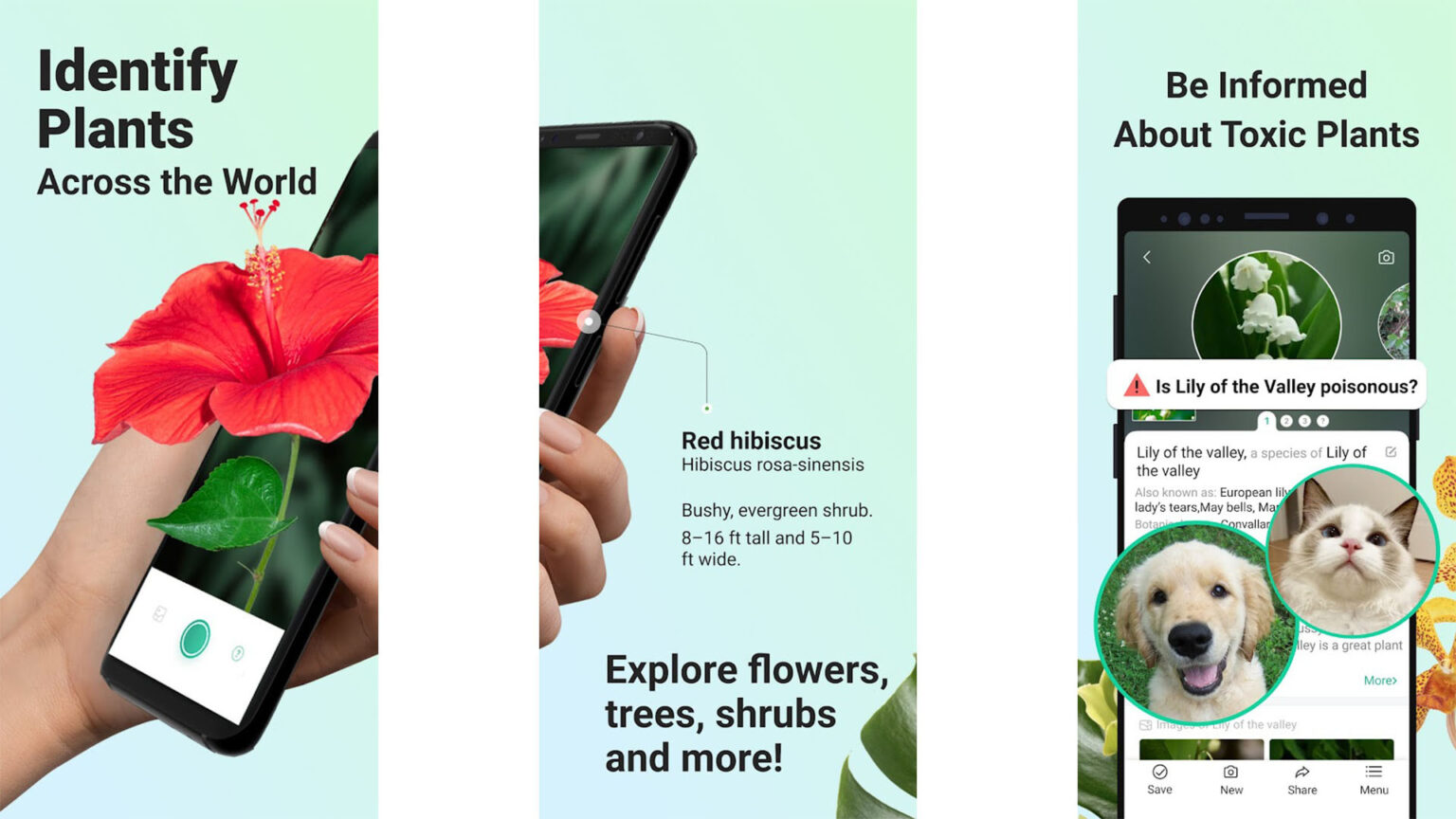 10 best plant apps and flower identification apps for Android