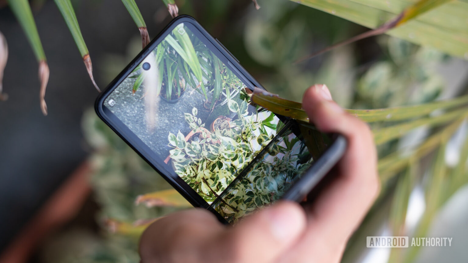 Samsung Galaxy Z Flip 3 problems and how to fix them Android Authority