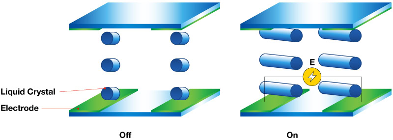 Liquid crystal orientation in an IPS LCD