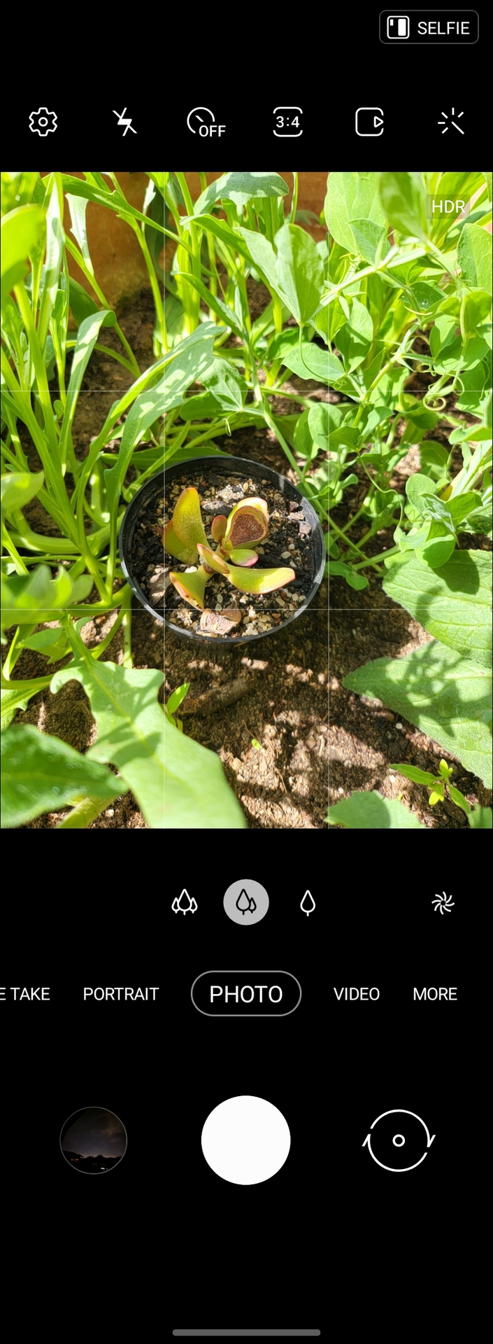 Galaxy Z Fold 3 camera app