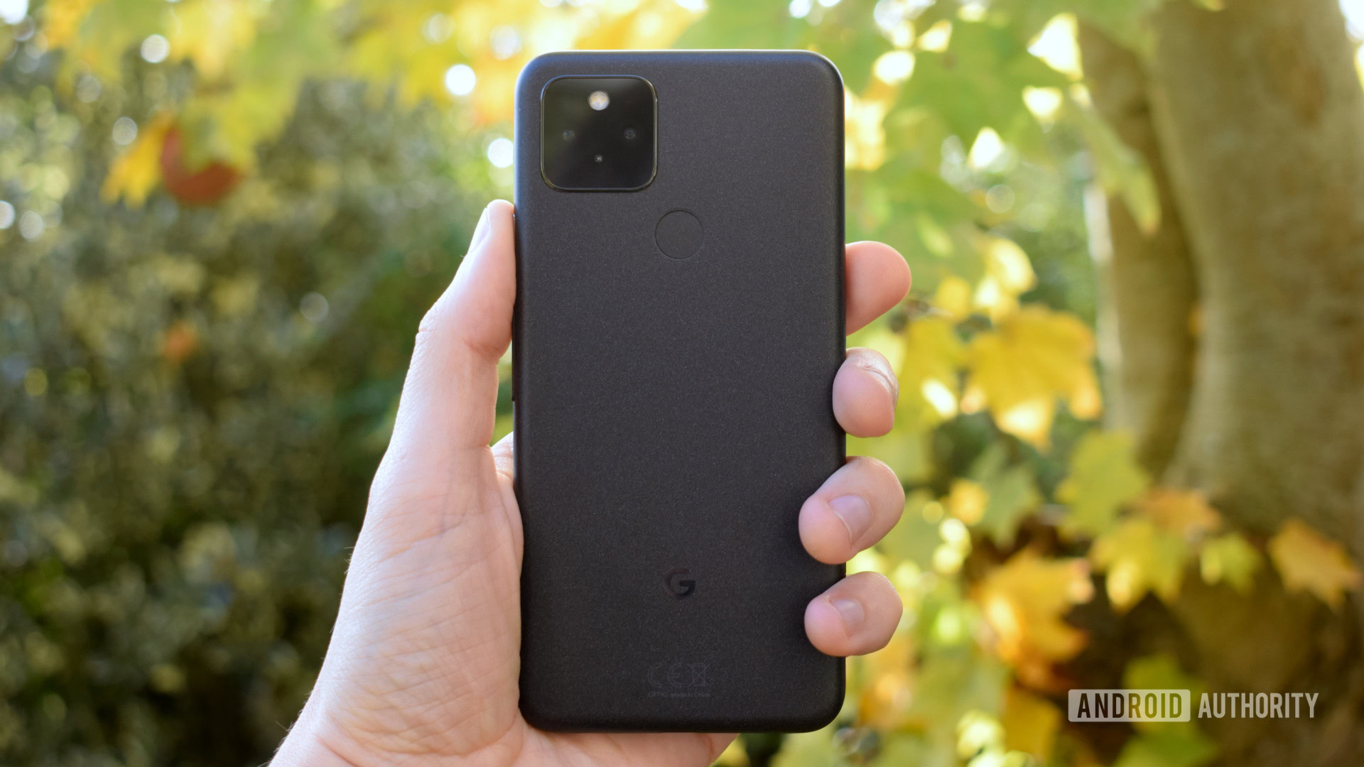 Google Pixel 5 en la mano