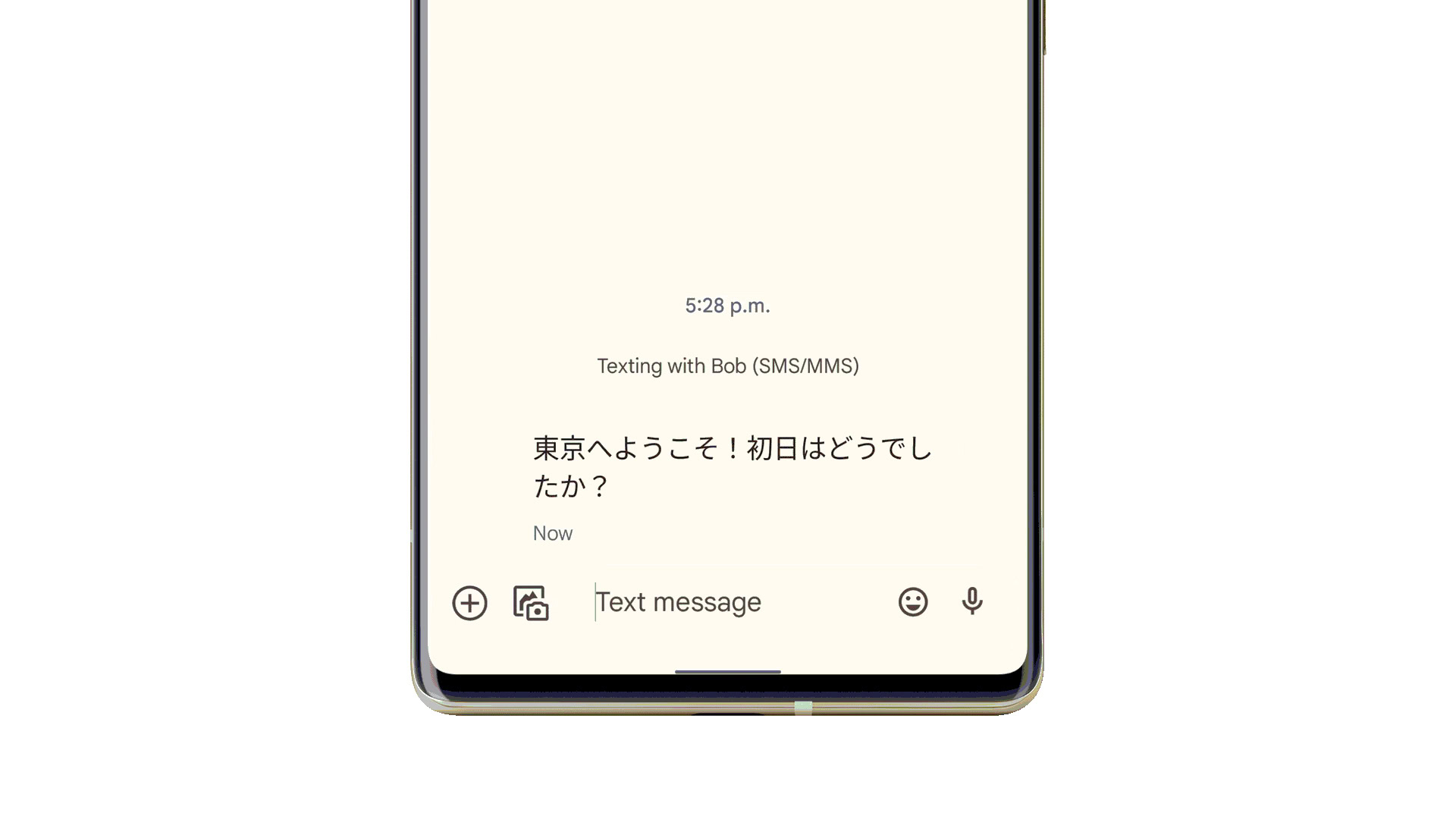 Google's Live Translate feature on the Pixel 6.