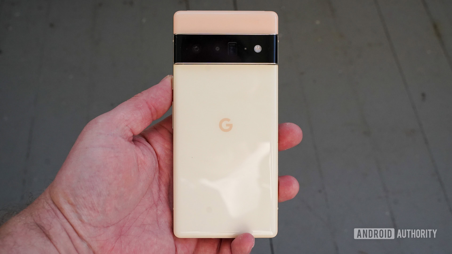 Google Pixel 6 Pro rear panel in the hand