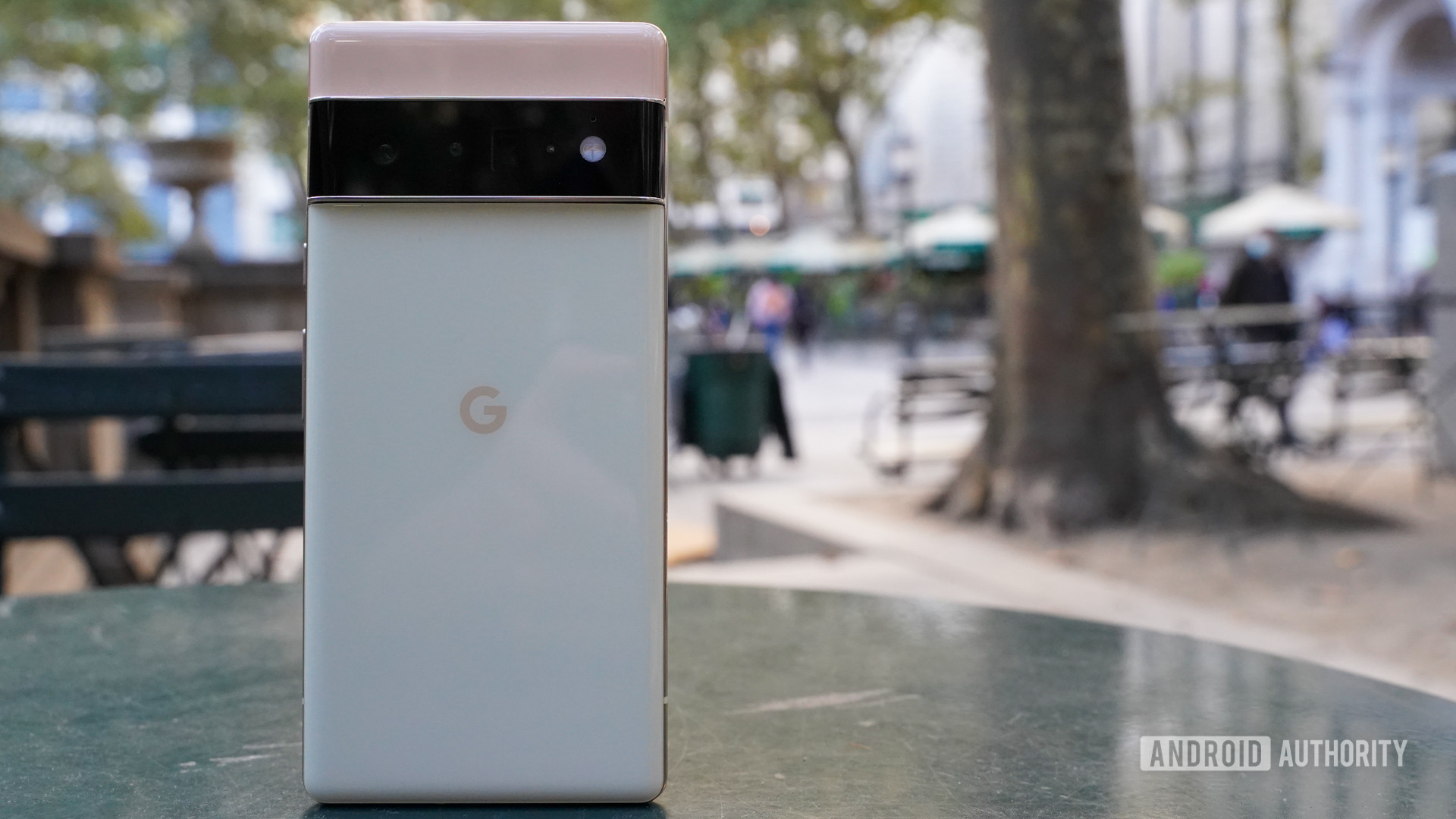 Google Pixel 6 Pro rear standing in the park