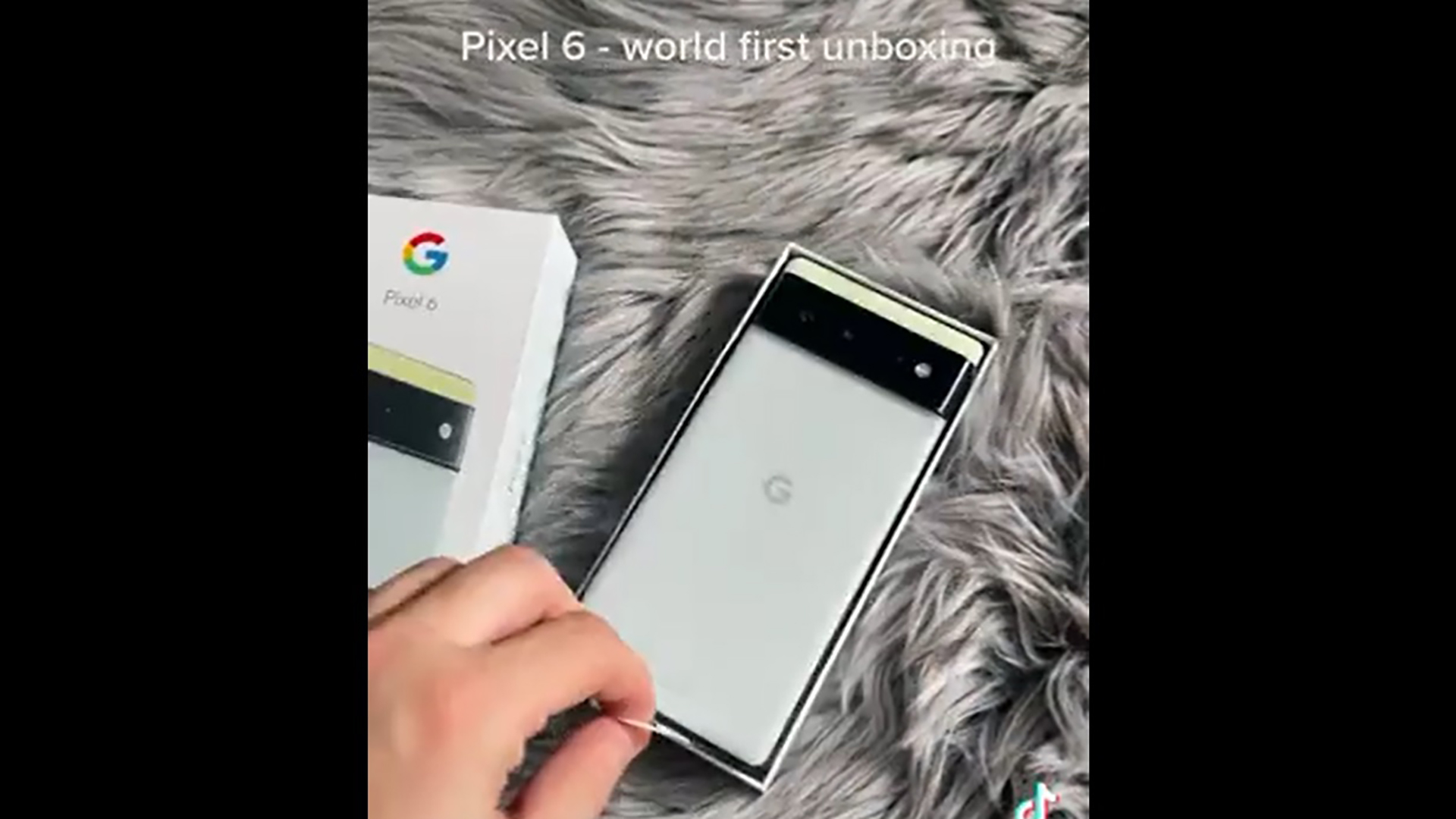 Google Pixel 6 Unboxing Leak