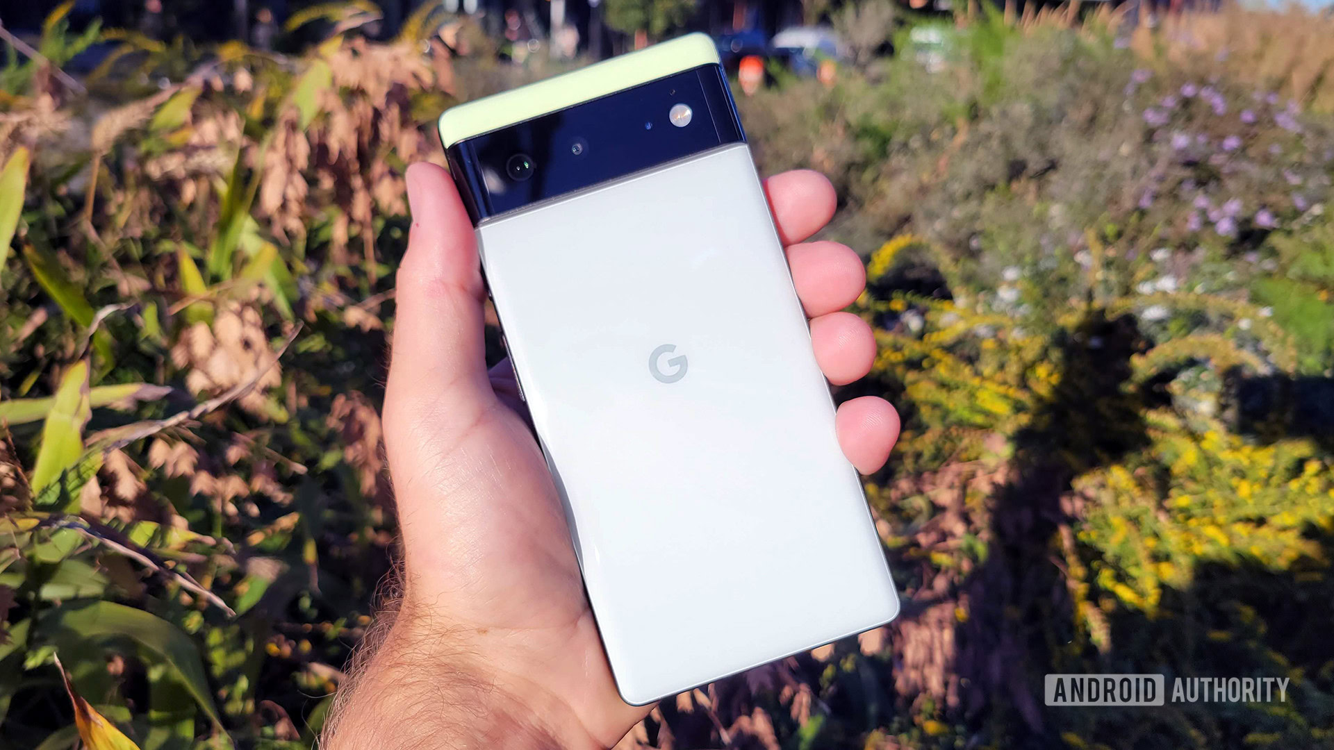 Google Pixel 6 in hand in front of flowers